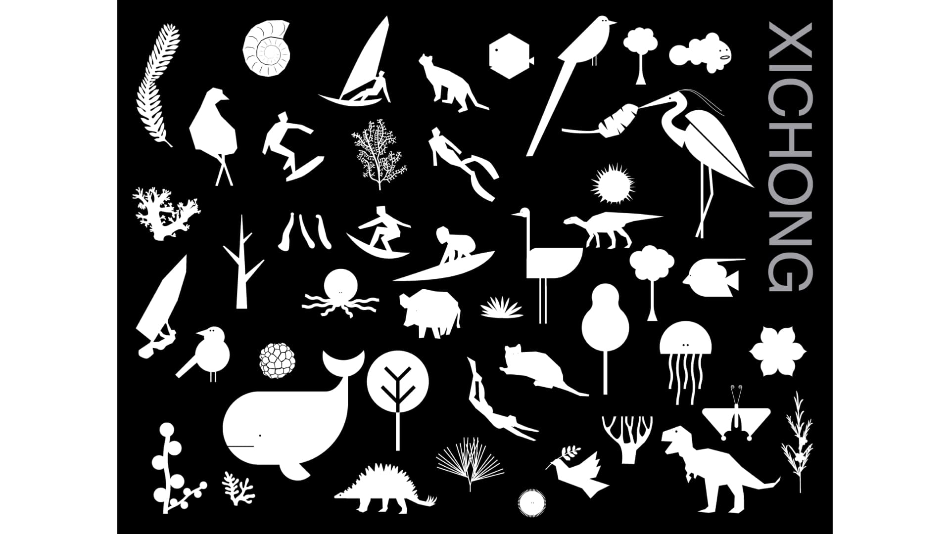 大鹏西涌绿道 gallery 3