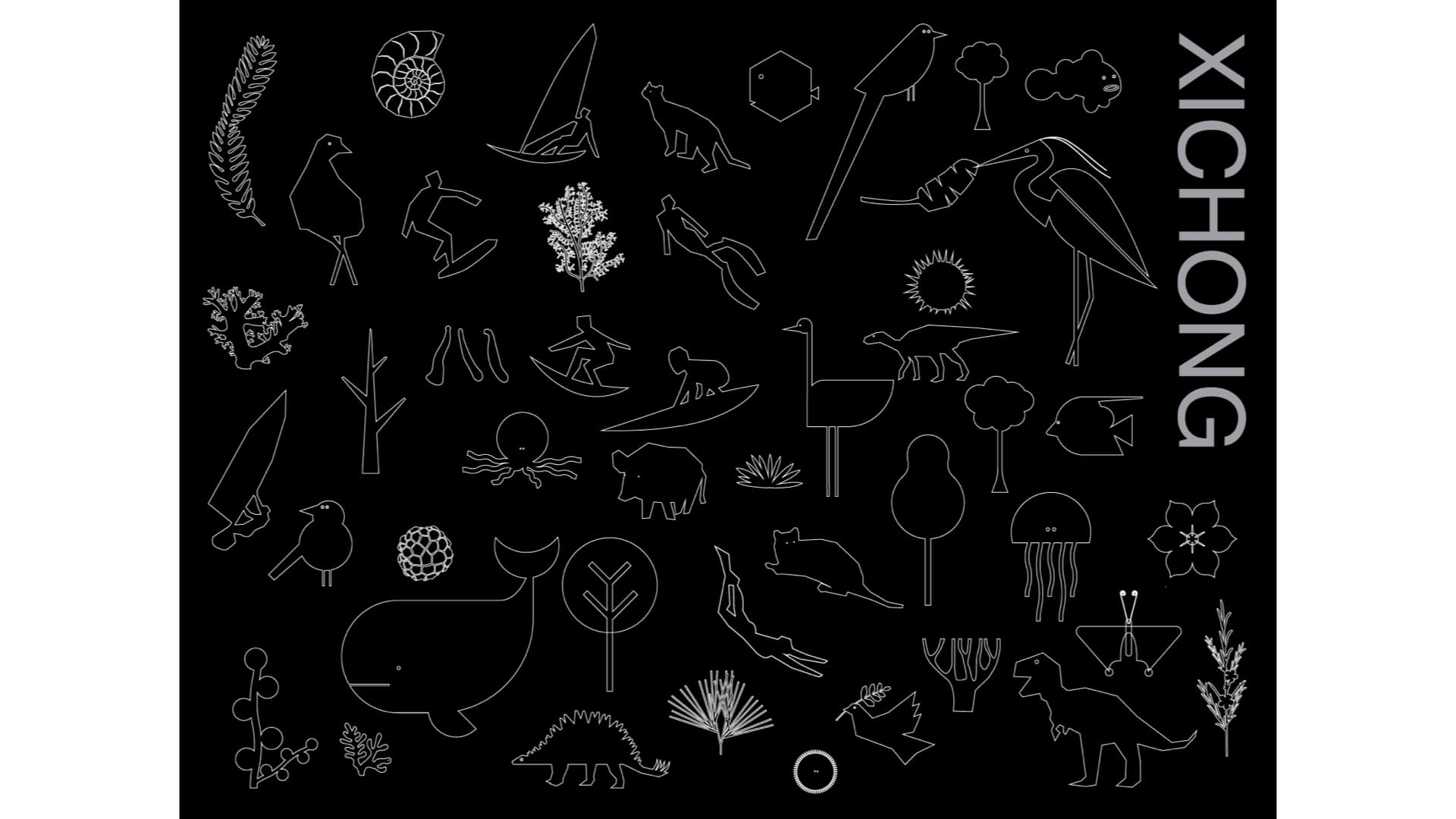 大鹏西涌绿道 gallery 4