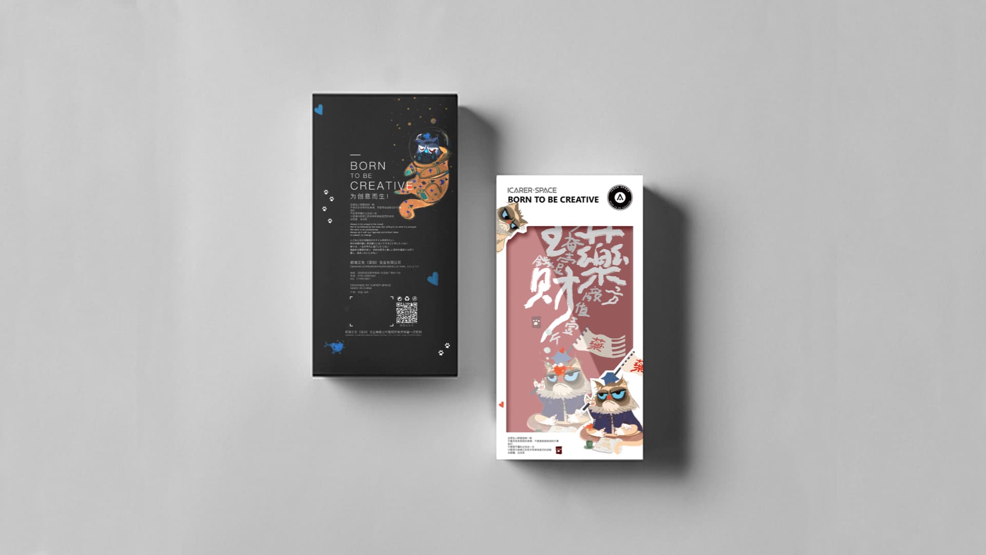 ICARER FAMILY gallery 9