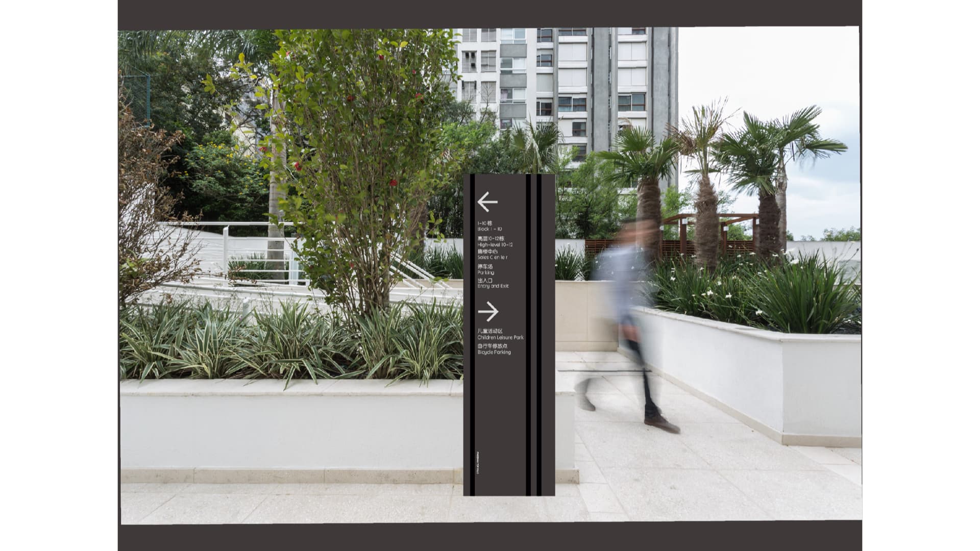 坪山正山甲 gallery 3