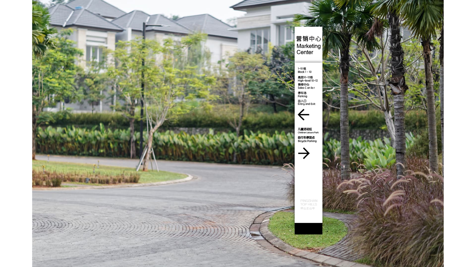 坪山正山甲 gallery 5